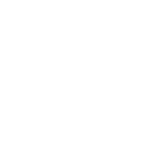 Portfolio ARTISTIC 2024